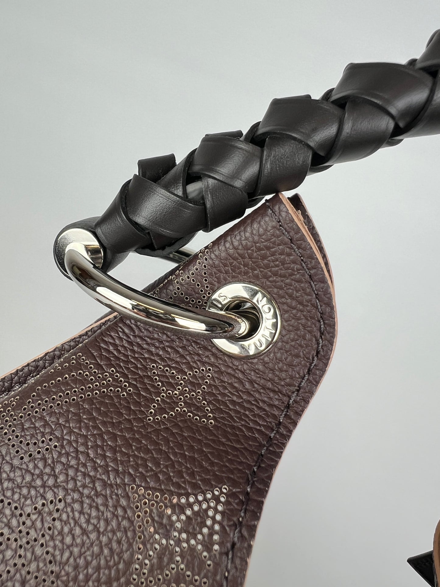 Louis Vuitton borsa monogram Carmel Mahina