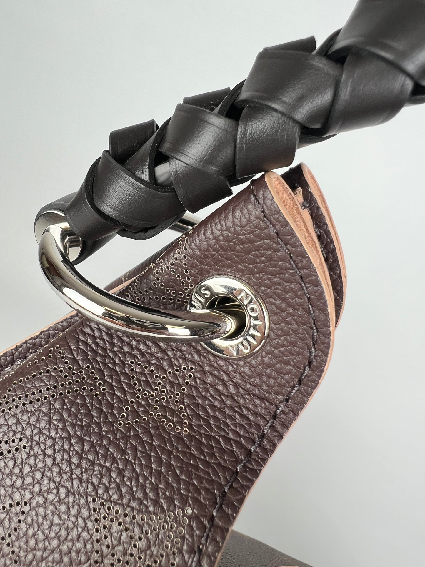 Louis Vuitton borsa monogram Carmel Mahina