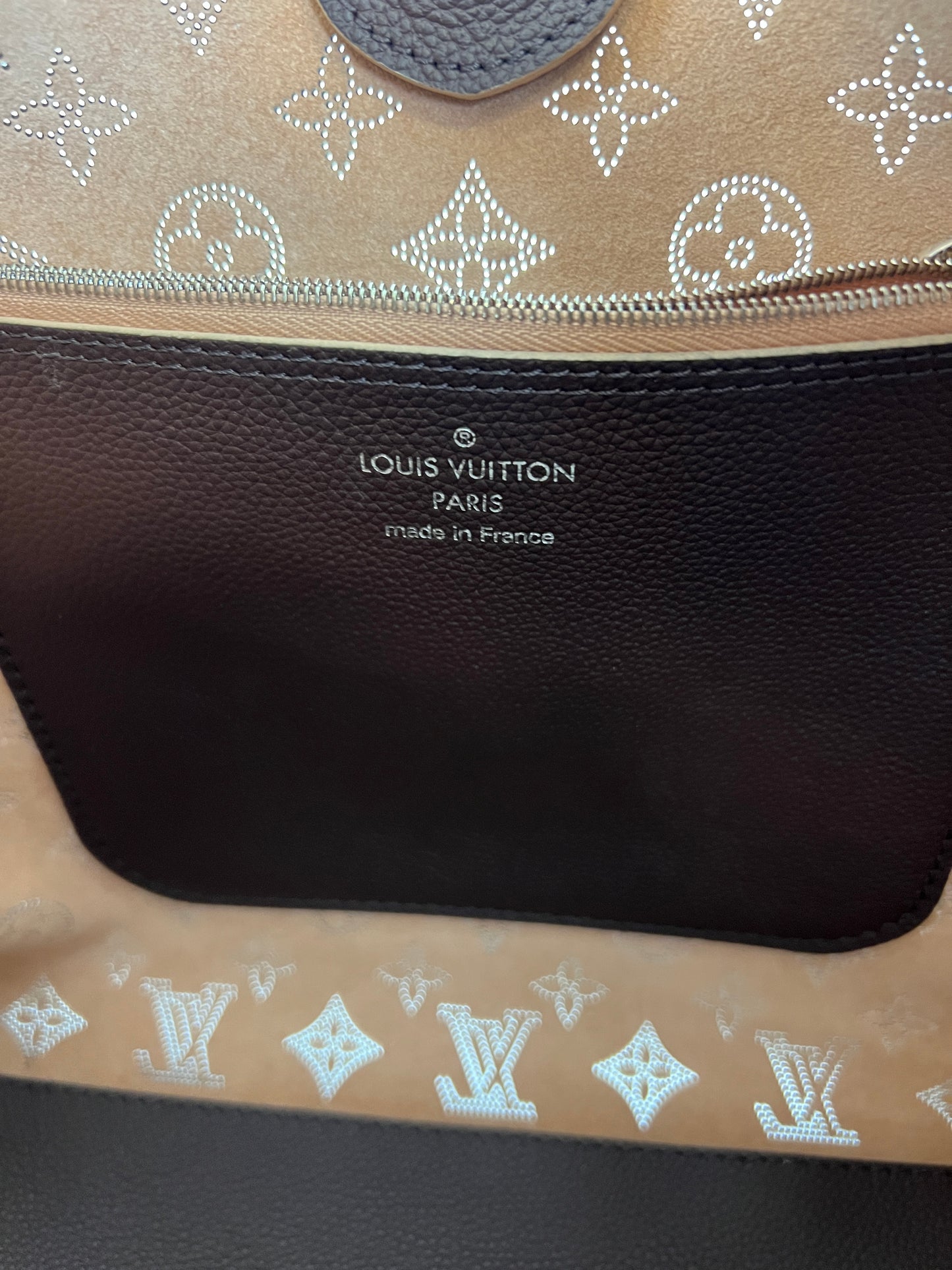 Louis Vuitton borsa monogram Carmel Mahina
