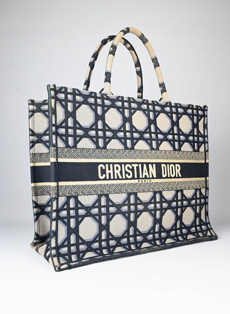 Dior Shopper Book Tote in tessuto beige e blu
