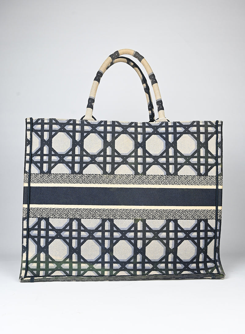 Dior Shopper Book Tote in tessuto beige e blu
