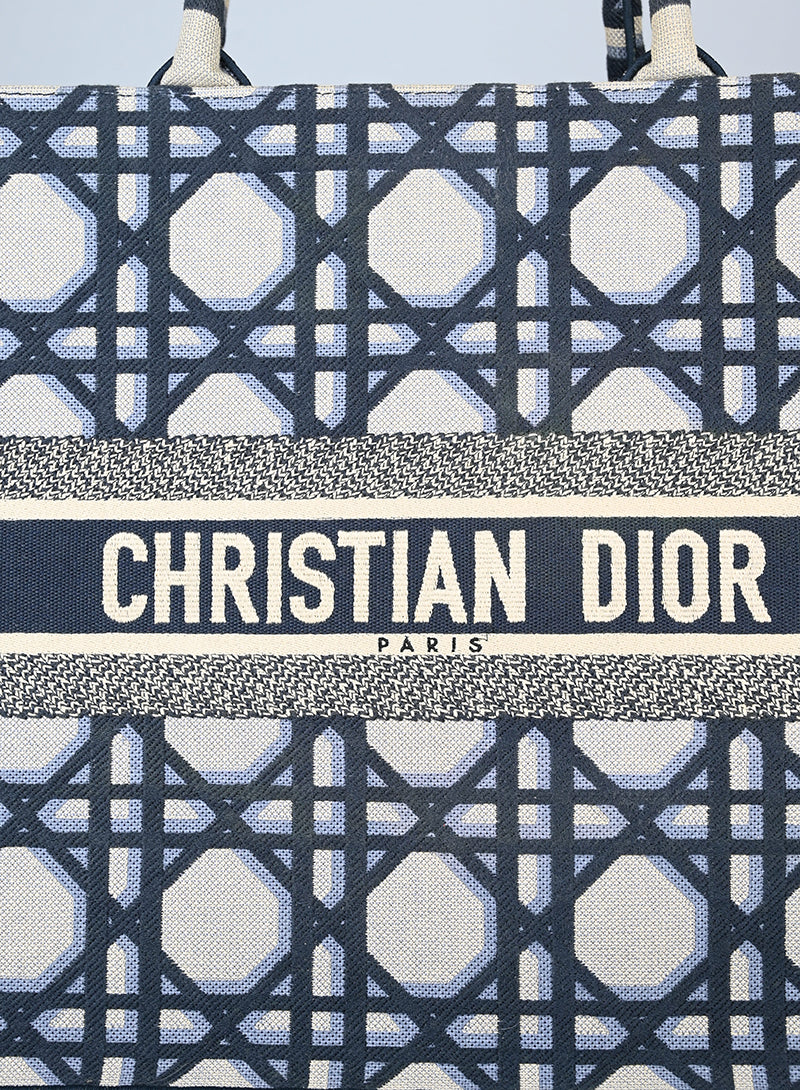 Dior Shopper Book Tote in tessuto beige e blu