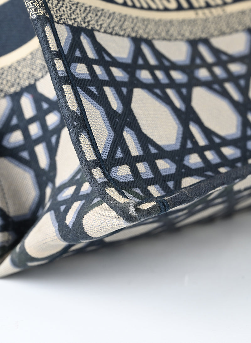 Dior Shopper Book Tote in tessuto beige e blu
