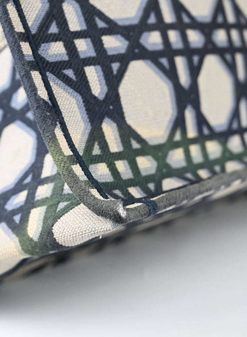 Dior Shopper Book Tote in tessuto beige e blu