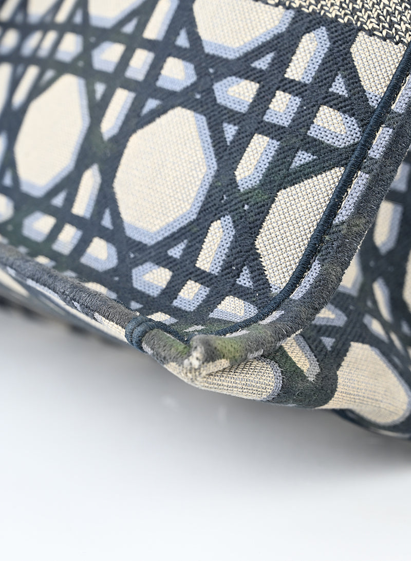Dior Shopper Book Tote in tessuto beige e blu