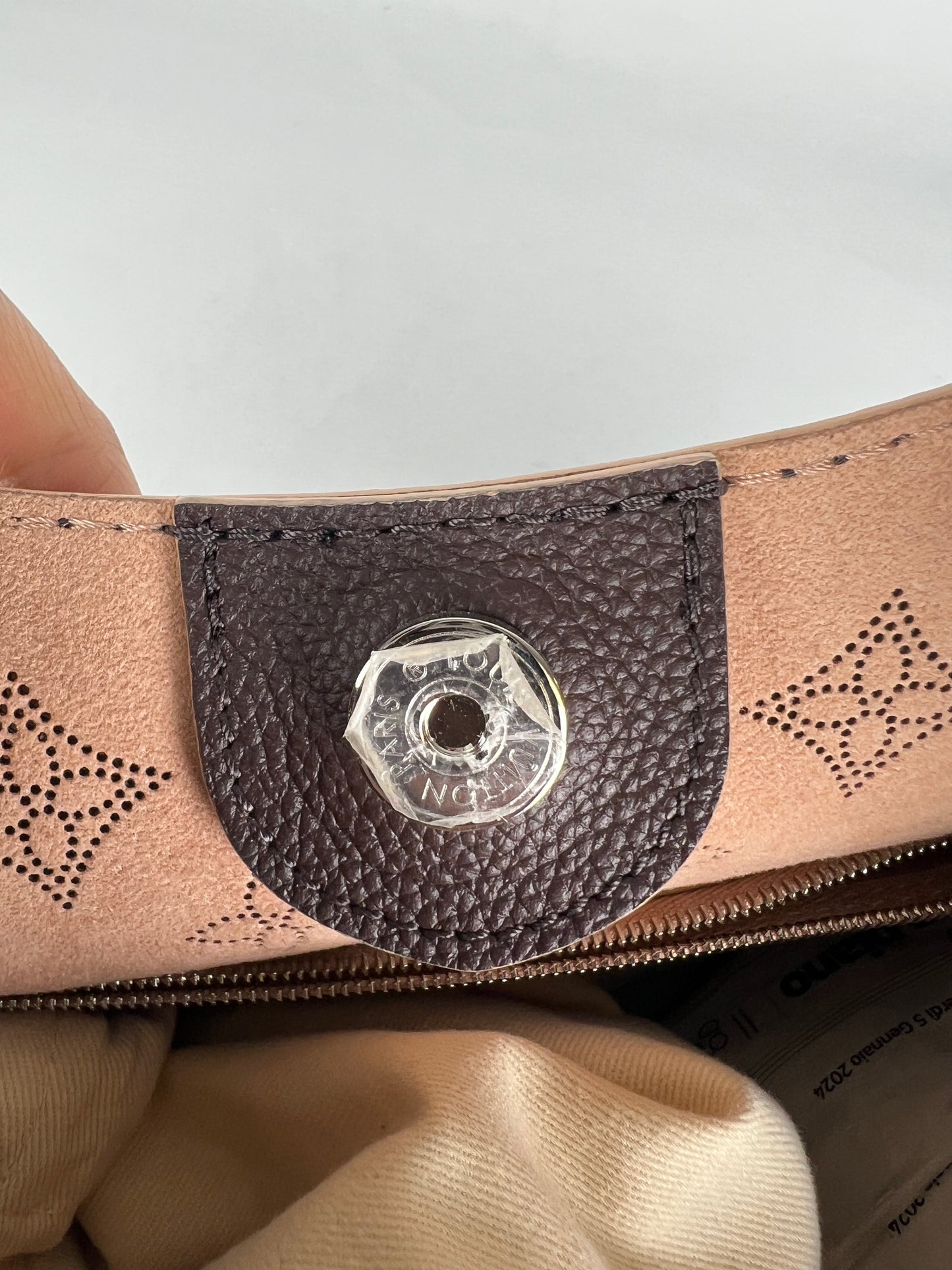 Louis Vuitton borsa monogram Carmel Mahina
