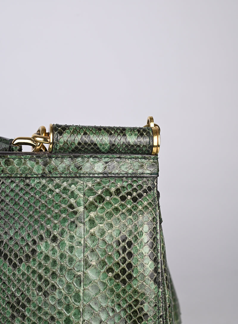 Dolce & Gabbana Sicily Bag Pitone Verde e Nero