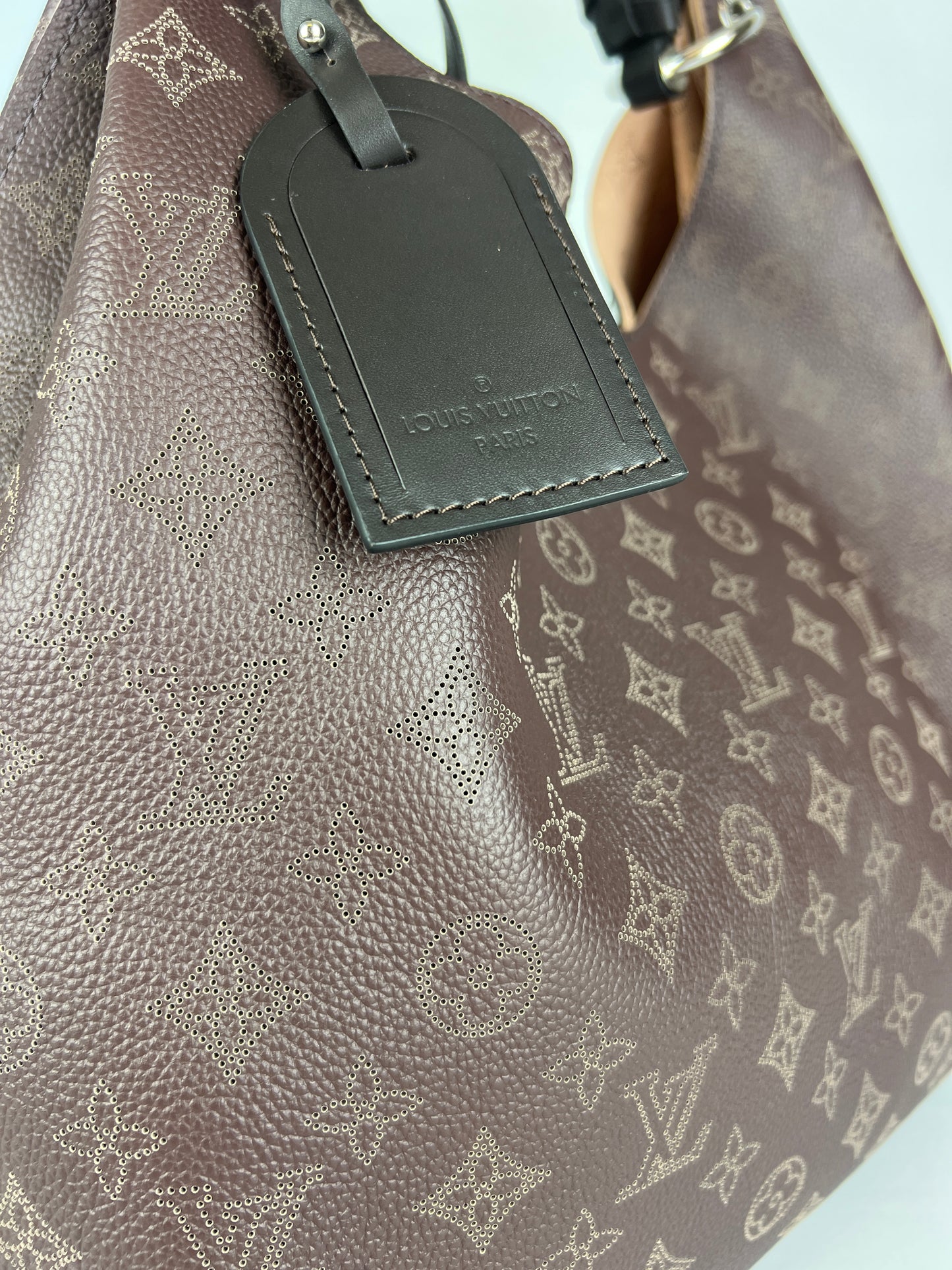Louis Vuitton borsa monogram Carmel Mahina