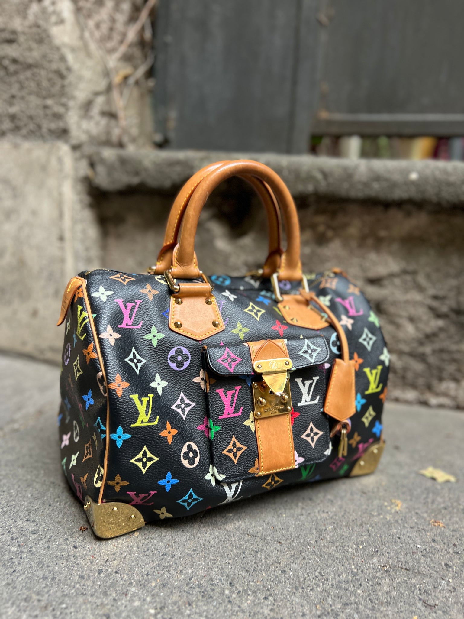 Louis Vuitton Speedy 30 multicolor – lesleyluxuryvintage